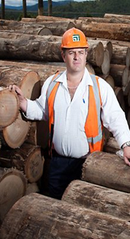  ايجيبت فينير لتصنيع وتجارة الق - عن  شركتنا